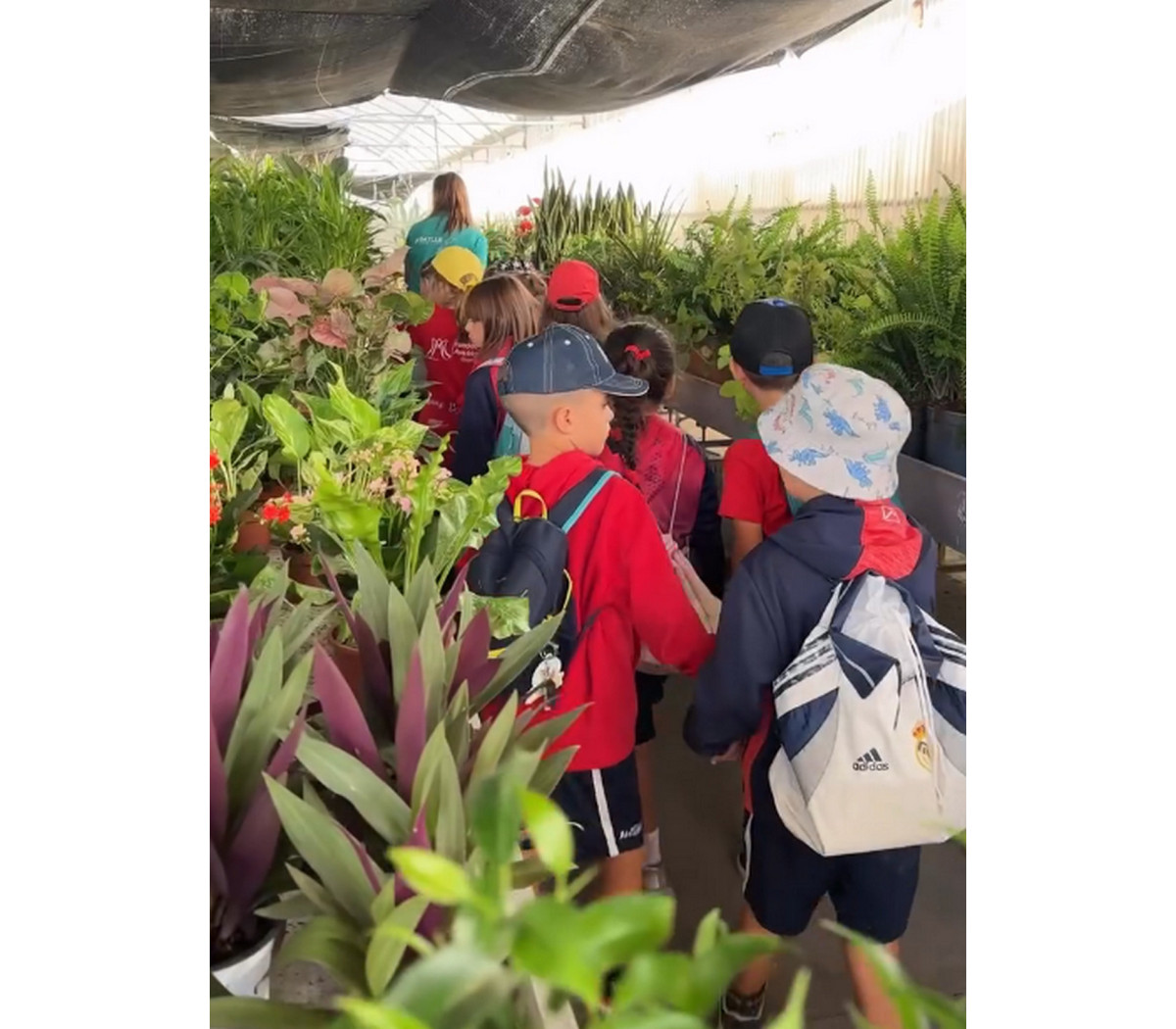 Viveros Taboada - 24/09/2025: Visita alumnos colegio Ave María La Quinta